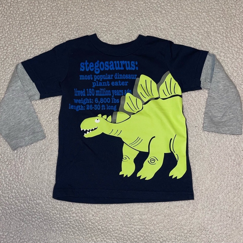 Kids Dinosaur Graphic Long Sleeve Shirt. Size 4T